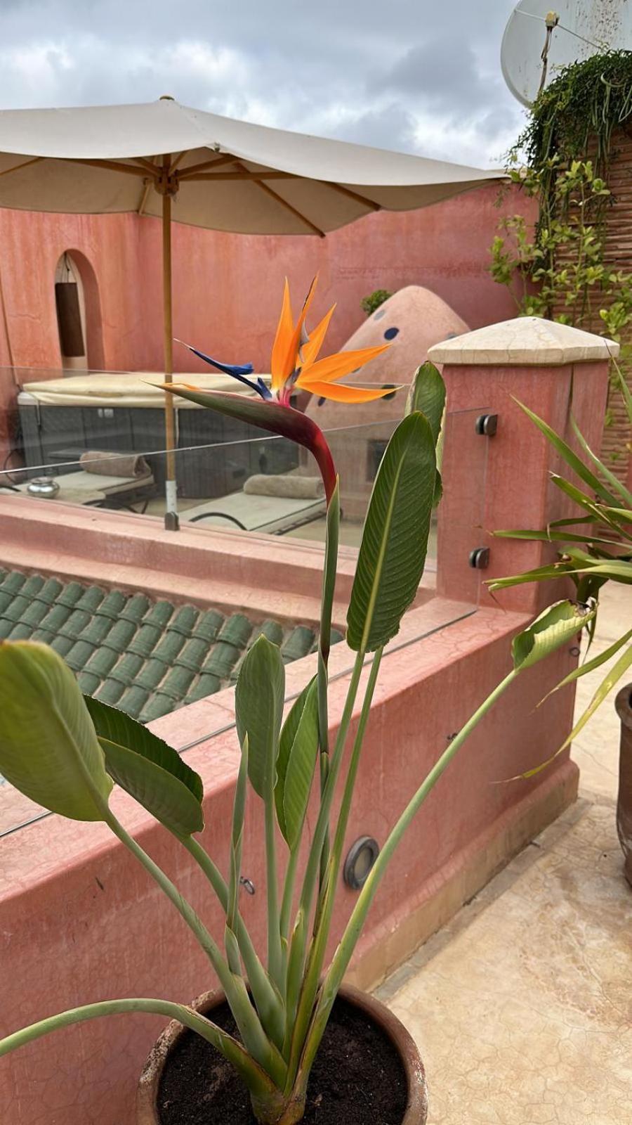 Riad Dar Ten มาร์ราเกช ภายนอก รูปภาพ